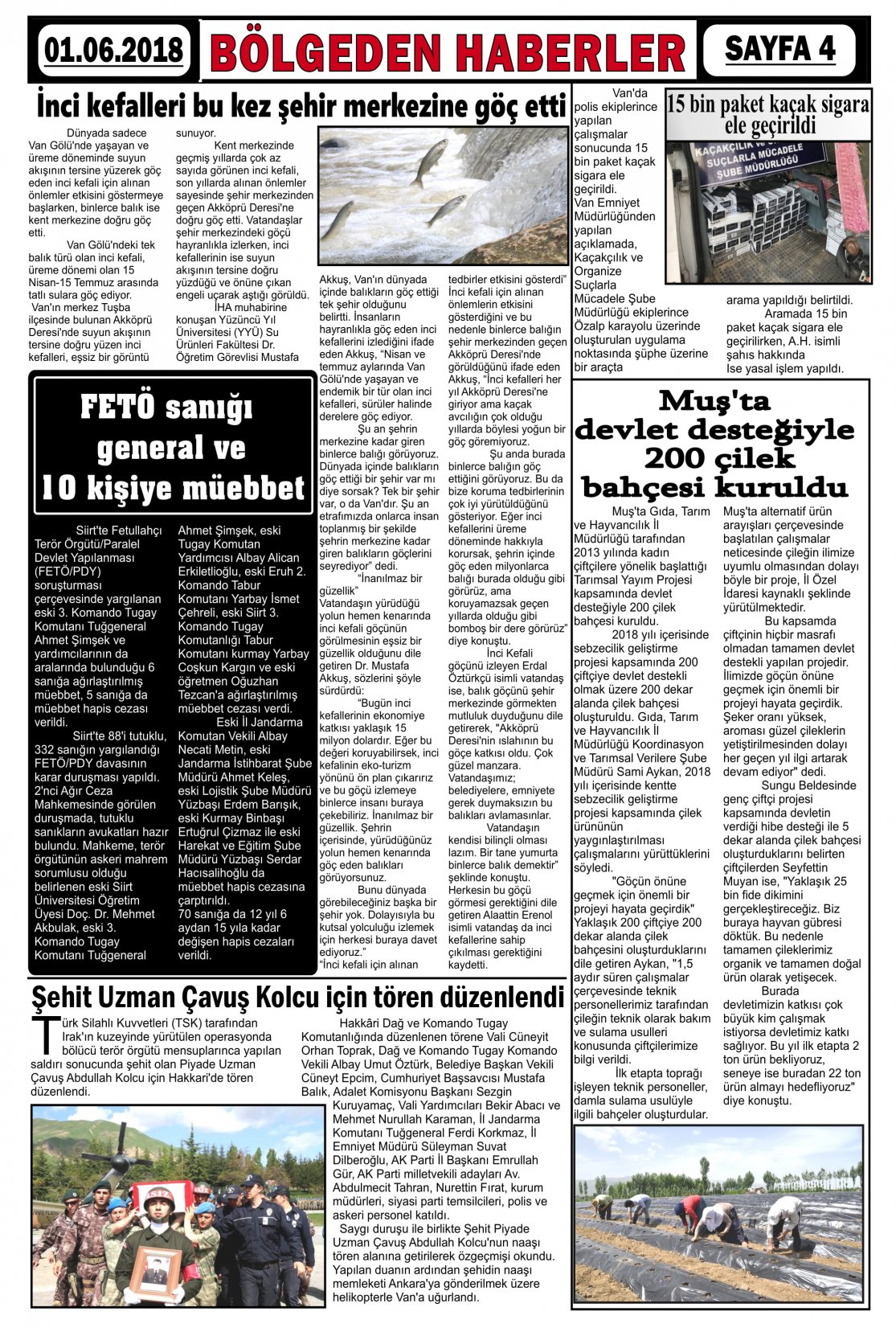 Güroymak Gazetesi  Sayılı Gazete Küpürü
